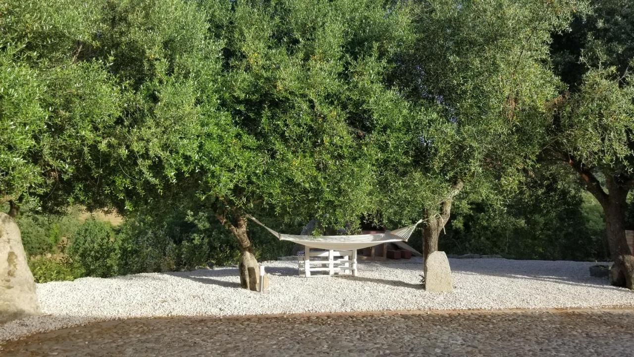 Casa Vacanza Centro Sardegna Sorgono Exterior foto