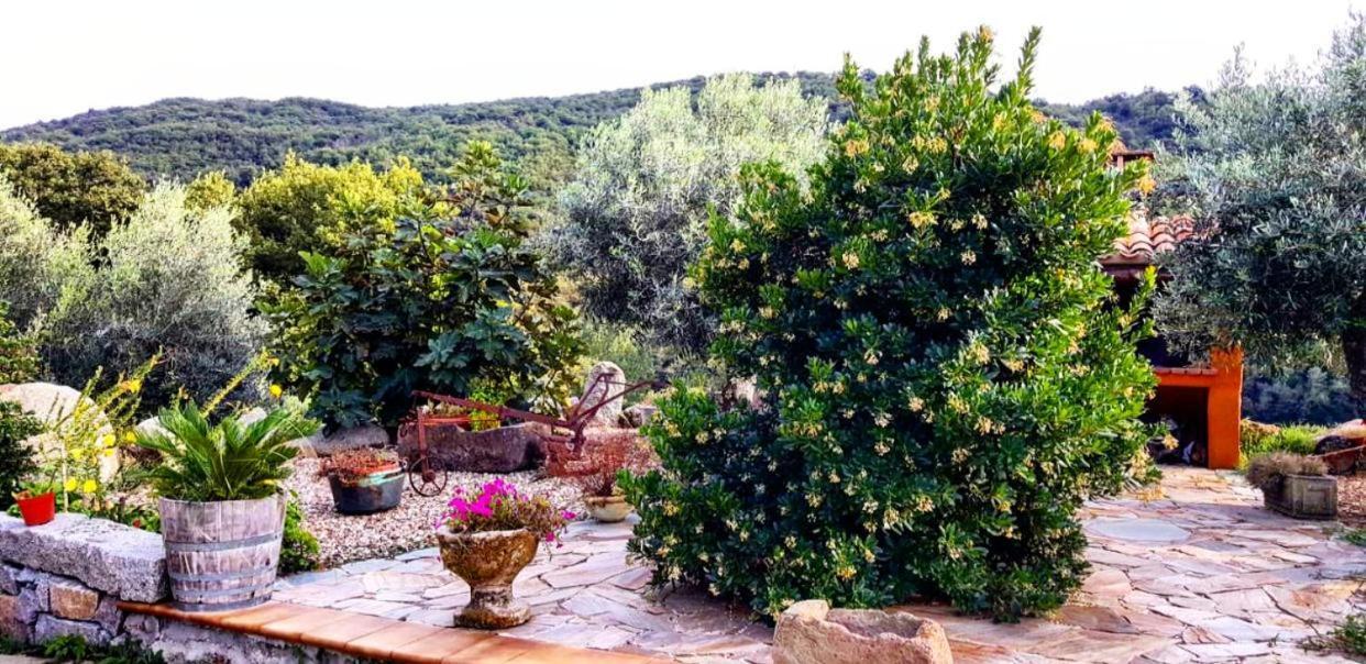 Casa Vacanza Centro Sardegna Sorgono Exterior foto